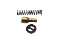 Molla della valvola, molla di compressione, elemento guida, motore BMW R 1150 R R28 0429 01-06