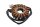Lichtmaschinen Stator Generator Wicklung 3-Phasen Kawasaki ZR-7S ZR750F/H 01-04