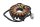 Lichtmaschinen Stator Generator Wicklung 3-Phasen Kawasaki ZR-7S ZR750F/H 01-04