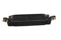Oljekylare, värmeväxlare, motorkylning, skruvanslutning BMW R 1100 GS 259 0409 93-99