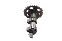 Kamaxel, transmissionsdrev, vipparmsdrift BMW F 650 GS Dakar R13 0176 00-03
