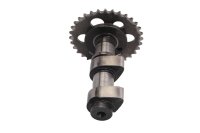 Camshaft, sprocket, top control shaft, engine BMW F 650 GS Dakar R13 0176 00-03