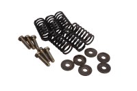 Koppelingsveerset, schroeven, ringen BMW F 650 GS Dakar R13 0176 00-03