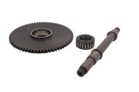 Aandrijfas tandwiel naaldlager motor Ducati Supersport 750 SS i.e Nuda 02-02