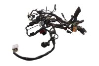 Cablaggio, cablaggio principale, connettori BMW F 650 GS Dakar R13 0176 00-03