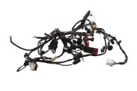 Cablaggio, cablaggio principale, connettori BMW F 650 GS Dakar R13 0176 00-03