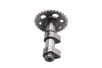 Kamaxel, kamaxel, växel, kamkedja BMW F 650 GS Dakar R13 0176 00-03