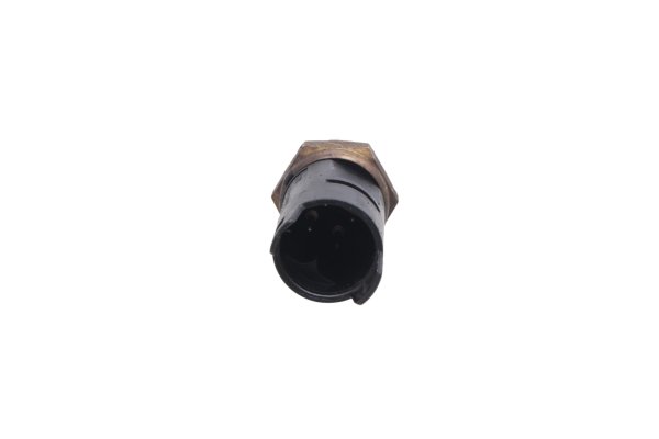 Vattentemperaturgivare, temperatursond BMW F 650 GS Dakar R13 0176 00-03