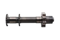 Oljepump, drivaxel, kugghjulsaxel, motorsmörjning BMW R 1100 GS 259 0409 93-99