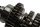 Transmissie hoofdas tussenas tandwielen schakelas Kawasaki ZX-7R ZX750N 96-99