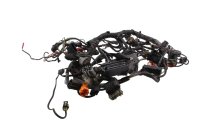 Kabelhärva, huvudkabel, elsystem, tändning BMW R 1100 GS 259 0409 93-99