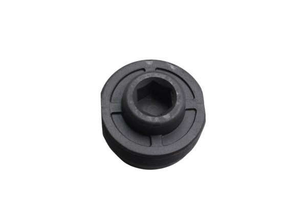 Svingarmslagerskydd, stängning, skruv (fram) BMW R 1100 GS 259 0409 93-99