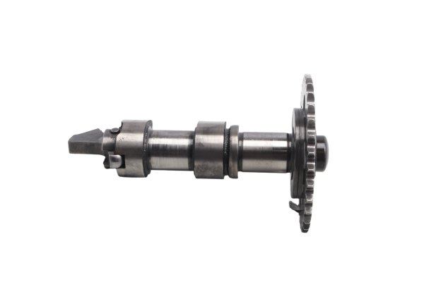 Camshaft, timing chain, gear, valve train BMW F 650 GS Dakar R13 0176 00-03