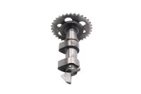 Camshaft, timing chain, gear, valve train BMW F 650 GS Dakar R13 0176 00-03