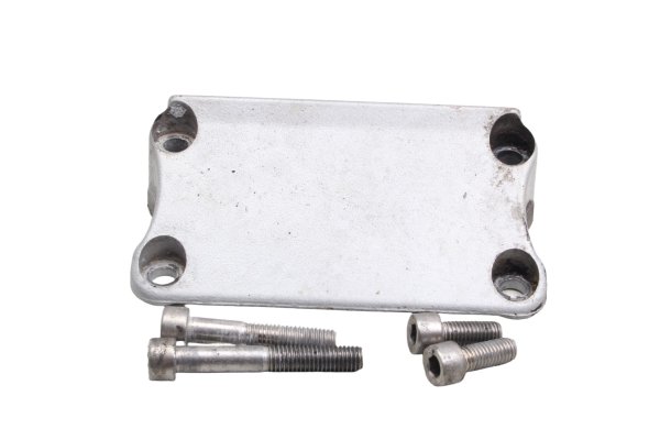 Fork stabilizer fender bracket Showa bracket BMW F 650 GS Dakar R13 0176 00-03
