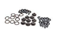 Bromsskivskruvsats med brickor BMW R 1100 GS 259 0409 93-99