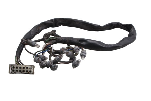 Kablage instrumentbelysning BMW R 1100 GS 259 0409 93-99
