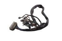 Kablage instrumentbelysning BMW R 1100 GS 259 0409 93-99