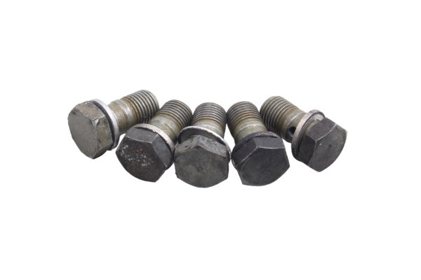 Set med sexkantsskruvar BMW R 1100 GS 259 0409 93-99