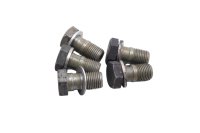 Set med sexkantsskruvar BMW R 1100 GS 259 0409 93-99
