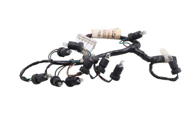 Instrumentkablage, hastighetsmätarbelysning BMW F 650 GS Dakar R13 0176 00-03
