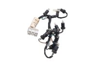 Instrumentkablage, hastighetsmätarbelysning BMW F 650 GS Dakar R13 0176 00-03