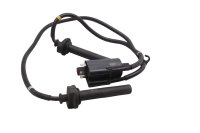 Zündspule Zündkabel Doppelspule Yamaha FJR 1300 A RP11 04-05