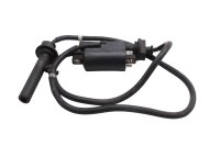 Zündspule Zündkabel Doppelspule Yamaha FJR 1300 A RP11 04-05