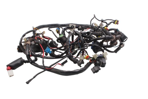 Cablaggio, cablaggio principale, connettori elettrici Moto Guzzi Breva V 1100 LP 04-07