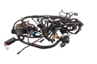 Cablaggio, cablaggio principale, connettori elettrici Moto Guzzi Breva V 1100 LP 04-07