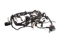 Cablaggio, cablaggio principale, connettori elettrici Moto Guzzi Breva V 1100 LP 04-07
