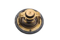Kühlmittelthermostat Temperaturregler 71°C Yamaha FJR 1300 A RP11 04-05