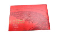 Manual de asistencia, folleto de servicio Moto Guzzi Breva V 1100 LP 04-07