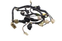 Hauptkabelbaum Kabelbaum Zündung Elektrik Steuerung...