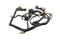 Hauptkabelbaum Kabelbaum Zündung Elektrik Steuerung...