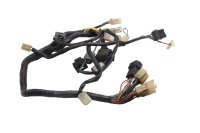 Hauptkabelbaum Kabelbaum Zündung Elektrik Steuerung Yamaha FJR 1300 A RP11 04-05