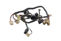Hauptkabelbaum Kabelbaum Zündung Elektrik Steuerung Yamaha FJR 1300 A RP11 04-05