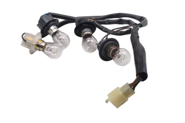 Kabelbaum Rücklicht Blinker hinten Yamaha FJR 1300 A RP11 04-05
