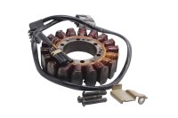 Lichtmaschinen Stator Generator Wicklung Yamaha FJR 1300 A RP11 04-05