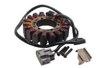 Lichtmaschinen Stator Generator Wicklung Yamaha FJR 1300 A RP11 04-05