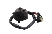 Left handlebar switch: turn signals, lights, horn...