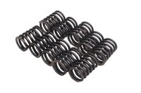Juego de muelles de embrague, muelles de compresión, campana de embrague Moto Guzzi Breva V 1100 LP 04-07