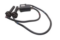 Zündspule Doppelzündspule Zündkabel Zündanlage Yamaha FJR 1300 A RP11 04-05
