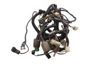 Wiring harness, main wiring harness, connectors,...