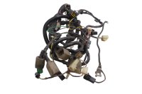 Wiring harness, main wiring harness, connectors, electrical system Kawasaki ZR 7S ZR750F H 01-04