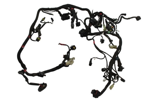 Main wiring harness, electrical system, ignition Ducati Monster 1200 S M600 14-16