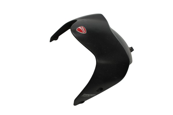Carbon front fender, front mudguard Ducati Monster 1200 S M600 14-16