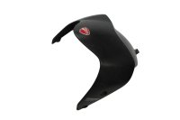 Carbon front fender, front mudguard Ducati Monster 1200 S M600 14-16