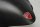 Carbon front fender, front mudguard Ducati Monster 1200 S M600 14-16