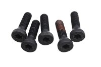 Wheel bolt set, hexagonal, rear wheel rim BMW R 1200 GS K25 0307 R12 04-07